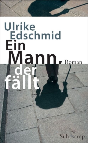 Buchcover und Innenansicht für das Buch: Ein Mann, der fällt