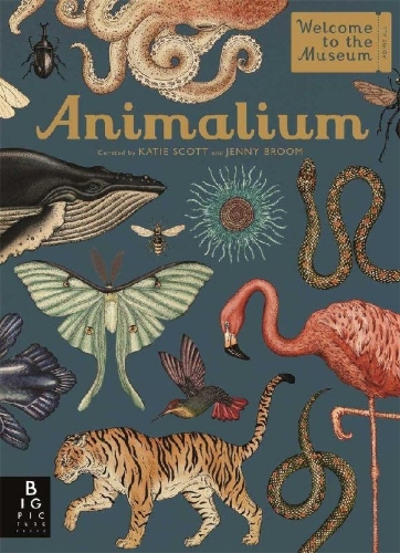 Buchcover und Innenansicht für das Buch: Animalium
