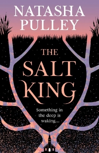 Buchcover und Innenansicht für das Buch: The Salt King