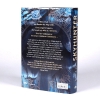 Buchcover und Innenansicht für das Buch: Skyhunter
