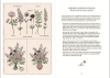 Buchcover und Innenansicht für das Buch: Flower Notes
