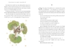 Buchcover und Innenansicht für das Buch: The Little Prince. Gift Edition