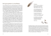 Buchcover und Innenansicht für das Buch: Mehr Platz für den Spatz!