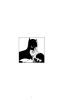 Buchcover und Innenansicht für das Buch: Batman