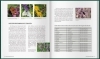 Buchcover und Innenansicht für das Buch: MDR Garten - Unsere Stauden