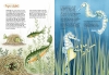 Buchcover und Innenansicht für das Buch: Rüsseln, schnäbeln, lausen - Wie Tiere ihre Gefühle zeigen