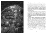 Buchcover und Innenansicht für das Buch: Die Stadt der Schattenschläfer und die Melodie der Albträume