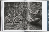 Buchcover und Innenansicht für das Buch: Sebastião Salgado. Amazônia