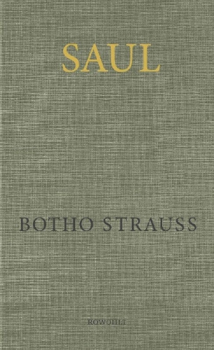 Buchcover und Innenansicht für das Buch: Saul