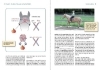 Buchcover und Innenansicht für das Buch: Dual-Aktivierung geritten