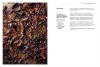 Buchcover und Innenansicht für das Buch: Grill Pilze