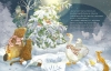 Buchcover und Innenansicht für das Buch: Weihnachten mit dem kleinen Bären