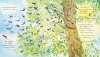 Buchcover und Innenansicht für das Buch: Our Tree