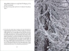 Buchcover und Innenansicht für das Buch: Dezember