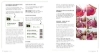 Buchcover und Innenansicht für das Buch: EaSy Sweater