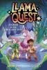 Buchcover und Innenansicht für das Buch: Llama Quest #1