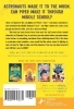 Buchcover und Innenansicht für das Buch: Shine!