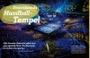 Buchcover und Innenansicht für das Buch: WAS IST WAS Handball. Tempo, Tore, Teamgeist