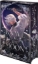 Buchcover und Innenansicht für das Buch: The Knave and the Moon
