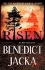Buchcover und Innenansicht für das Buch: Risen