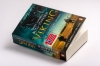 Buchcover und Innenansicht für das Buch: DANEHÆREN (The Army of the Danes)