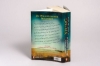 Buchcover und Innenansicht für das Buch: DANEHÆREN (The Army of the Danes)