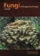 Buchcover und Innenansicht für das Buch: Fungi of Temperate Europe