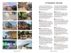 Buchcover und Innenansicht für das Buch: Baedeker SMART Reiseführer Amsterdam