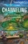 Buchcover und Innenansicht für das Buch: CHANNELING. Universalschlüssel zur Geistigen Welt