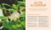 Buchcover und Innenansicht für das Buch: Kleine Aquarien
