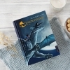 Buchcover und Innenansicht für das Buch: Dragon Rider.