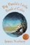 Buchcover und Innenansicht für das Buch: Big Panda's Little Book of Calm