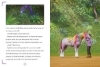 Buchcover und Innenansicht für das Buch: Unicorn Academy - Der verborgene Tempel