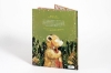 Buchcover und Innenansicht für das Buch: The Magic Feather