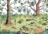 Buchcover und Innenansicht für das Buch: Selmas wundersame Abenteuer im Tapetenwald