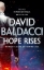 Buchcover und Innenansicht für das Buch: Hope Rises