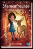 Buchcover und Innenansicht für das Buch: Star Friends - Dark Tricks