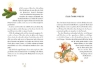 Buchcover und Innenansicht für das Buch: Knusper und Hörnchen - Die Weihnachts-Wunder-Bäckerei