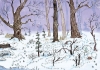 Buchcover und Innenansicht für das Buch: Selmas wundersamer Winter im Tapetenwald