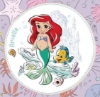 Buchcover und Innenansicht für das Buch: Disney Prinzessin: Kleine Prinzessinnen Malblock