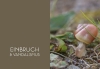 Buchcover und Innenansicht für das Buch: Mord im Nacktschnecken-Milieu